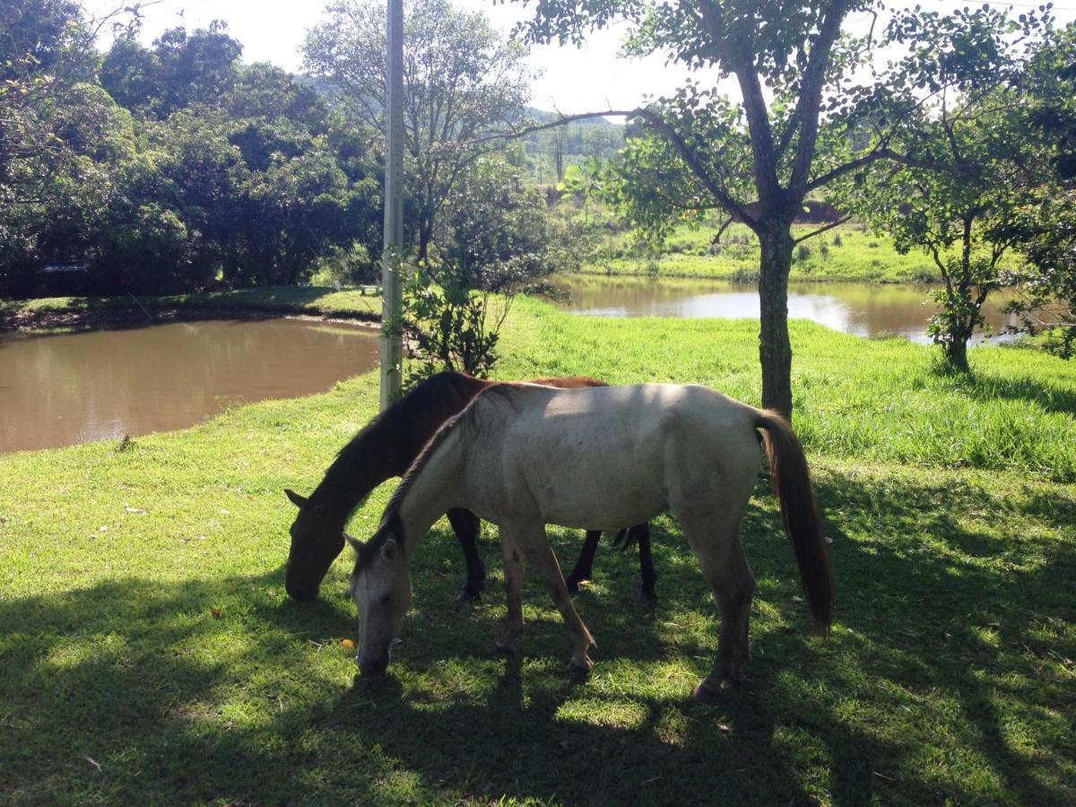Aguas Vivas Hotel Fazenda Pirenopolis Bagian luar foto